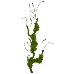 2ft. Moss Twig Vine Plant, 4ct. -Flowers Michael Store D351021S 1 1