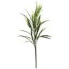 2.25ft. Vanilla Grass Plant, 24ct. 2 2.25ft. Vanilla Grass Plant, 24ct. -Flowers Michael Store D351086S 1