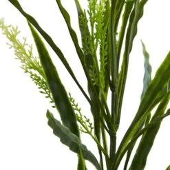 2.25ft. Vanilla Grass Plant, 24ct. -Flowers Michael Store D351086S 2