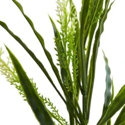 2.25ft. Vanilla Grass Plant, 24ct. -Flowers Michael Store D351086S 3
