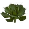 Green Succulent Pick, 2ct. -Flowers Michael Store D351217S 1