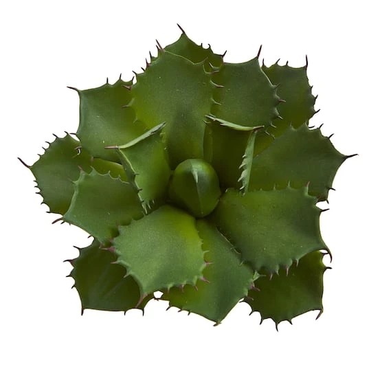 Green Succulent Pick, 2ct. 6 Green Succulent Pick, 2ct. - Image 4