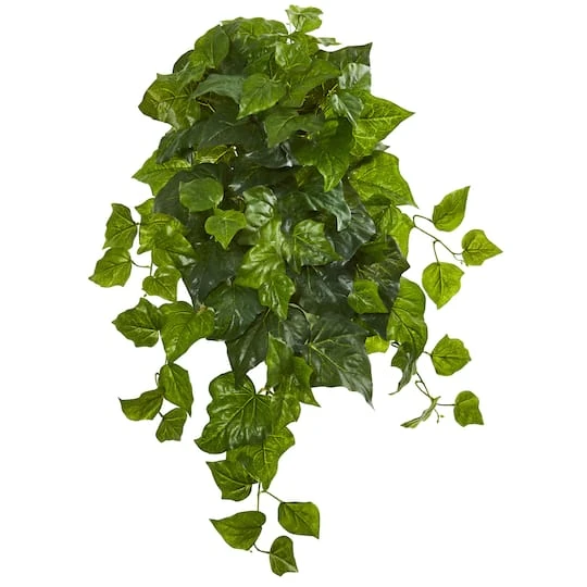 Green Deluxe London Ivy Hanging Bush, 3ct. 4 Green Deluxe London Ivy Hanging Bush, 3ct. - Image 2