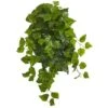 Green Deluxe London Ivy Hanging Bush, 3ct. -Flowers Michael Store D351226S 1