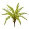 Green Fern Plant Stem, 12ct. -Flowers Michael Store D351262S 1