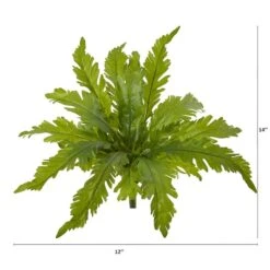 Green Fern Pick, 6ct. -Flowers Michael Store D351336S 2