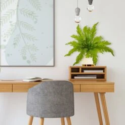 Green Fern Pick, 6ct. -Flowers Michael Store D351336S 3