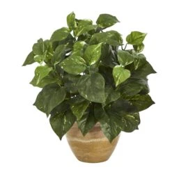 14" Pothos Plant In Ceramic Planter
