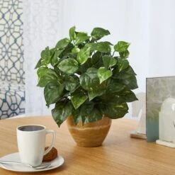 14" Pothos Plant In Ceramic Planter -Flowers Michael Store D351341S 3