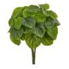 Green Peperomia Pick, 6ct. -Flowers Michael Store D351343S 1