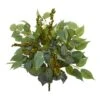Green Mixed Ficus, Fittonia & Berries Bush, 6ct. -Flowers Michael Store D351535S 1