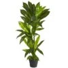 3ft. Dracaena Artificial Plant (Real Touch) -Flowers Michael Store D351742S 1