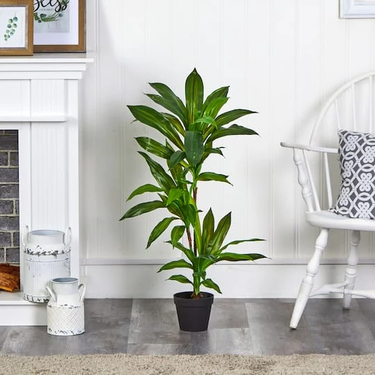 3ft. Dracaena Artificial Plant (Real Touch) 6 3ft. Dracaena Artificial Plant (Real Touch) - Image 4