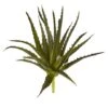 Green Aloe Pick, 6ct. -Flowers Michael Store D352147S 1