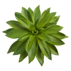 Green Succulent Pick, 3ct. -Flowers Michael Store D352149S 2