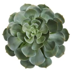 Green Giant Echeveria Succulent Pick, 2ct. -Flowers Michael Store D352150S 2