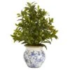 28" Coffee Leaf Artificial Plant In Vintage Floral Planter (Real Touch) -Flowers Michael Store D352398S 1