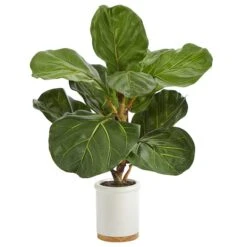 21" Fiddle Leaf Tree In White Ceramic Planter