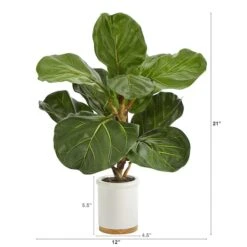 21" Fiddle Leaf Tree In White Ceramic Planter -Flowers Michael Store D352543S 2