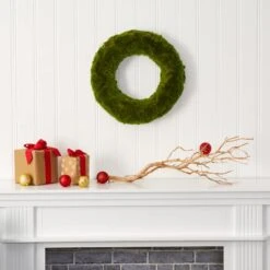 18" Green Moss Wreath -Flowers Michael Store D386406S 3
