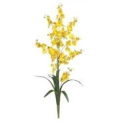 Dancing Lady Orchid Stem, 12ct. Yellow -Flowers Michael Store D386488S 11 1