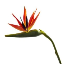 Large Artificial Bird Of Paradise Stem, 4ct. -Flowers Michael Store D386496S 2