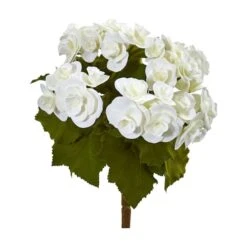 White Begonia Flower Bush, 4ct.