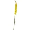 Yellow Foxtail Stem, 3ct. -Flowers Michael Store D386513S 1
