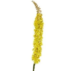 Yellow Foxtail Stem, 3ct. 7 Yellow Foxtail Stem, 3ct. -Flowers Michael Store D386513S 2