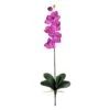 Pink Moth Orchid Stem, 12ct. -Flowers Michael Store D386520S 1