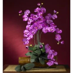 Pink Moth Orchid Stem, 12ct. -Flowers Michael Store D386520S 3