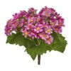 Purple Daisy Flower Bush, 6ct. -Flowers Michael Store D386538S 1
