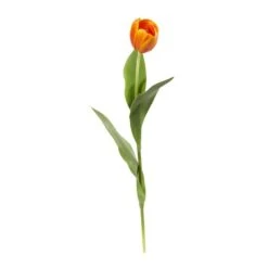 Orange Tulip Stem, 8ct. -Flowers Michael Store D386544S 11 1