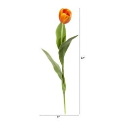 Orange Tulip Stem, 8ct. -Flowers Michael Store D386544S 12