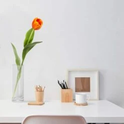 Orange Tulip Stem, 8ct. -Flowers Michael Store D386544S 13