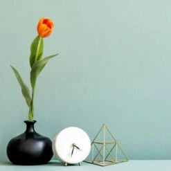 Orange Tulip Stem, 8ct. -Flowers Michael Store D386544S 14