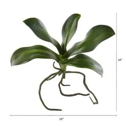 7" Phalaenopsis Orchid Leaf Artificial Flower (Set Of 6) -Flowers Michael Store D386566S 12