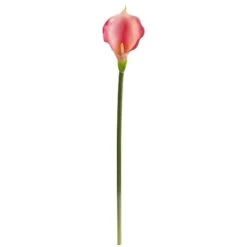 Pink Calla Lily Flower Stems, 12ct. -Flowers Michael Store D386590S 1 1