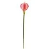Pink Calla Lily Flower Stems, 12ct. -Flowers Michael Store D386590S 1