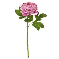 Pink Peony Flower Stems, 6ct. -Flowers Michael Store D386595S 1 1