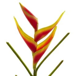 Heliconia Artificial Flower, 4ct. -Flowers Michael Store D386609S 3