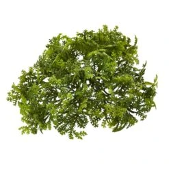 Green Moss Bush, 12ct. -Flowers Michael Store D386611S 1 1