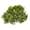 Green Moss Bush, 12ct. 2 Green Moss Bush, 12ct. -Flowers Michael Store D386611S 1