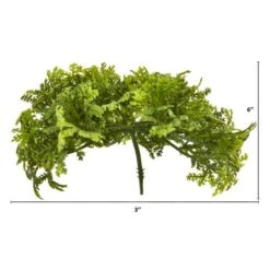 Green Moss Bush, 12ct. -Flowers Michael Store D386611S 2