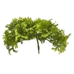 Green Moss Bush, 12ct. -Flowers Michael Store D386611S 3
