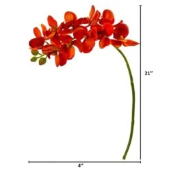 Moth Orchid Stem, 6ct. Orange -Flowers Michael Store D386618S 2