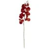 Red Autumn Moth Orchid Flower Stems, 6ct. -Flowers Michael Store D386619S 1