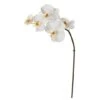 20" Phalaenopsis Orchid Artificial Flower (Set Of 12) -Flowers Michael Store D386636S 11