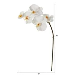 20" Phalaenopsis Orchid Artificial Flower (Set Of 12) -Flowers Michael Store D386636S 12