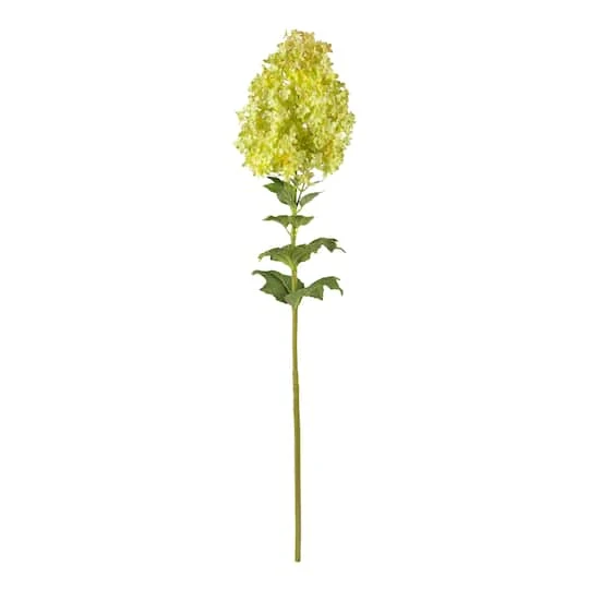 Green Peegee Hydrangea Flower Stem, 2ct. 4 Green Peegee Hydrangea Flower Stem, 2ct. - Image 2